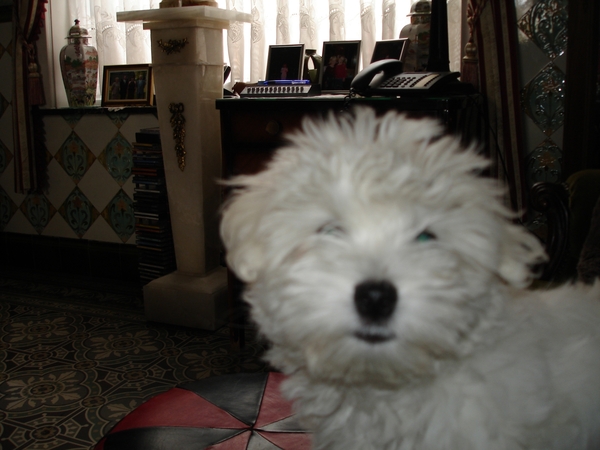 HEB IK NU MAAR EEN OOGJE,,?