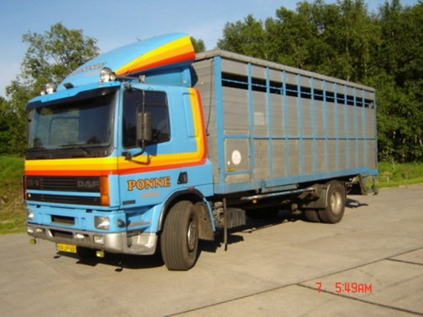 Ponne Vee transport