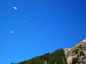 Parapante in Kandersteg