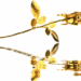 2258roos_4