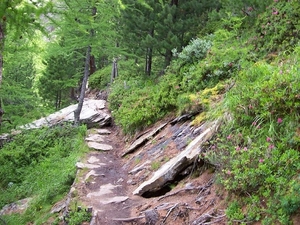 Erlebenisweg naar de Almagellerhutte