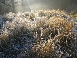 Winter in Klein Schietveld