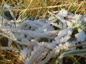 Winter in Klein Schietveld