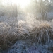 Winter in Klein Schietveld