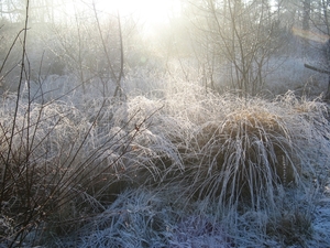 Winter in Klein Schietveld