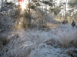 Winter in Klein Schietveld