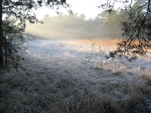 Winter in Klein Schietveld