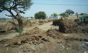 1x Delhi __Mandawa _P1010961