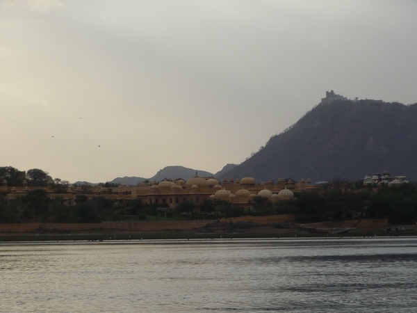 4f  Udaipur _Picholameer _P1020689