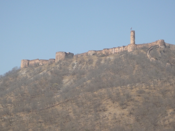 6b Jaipur _Amber Fort _P1020831