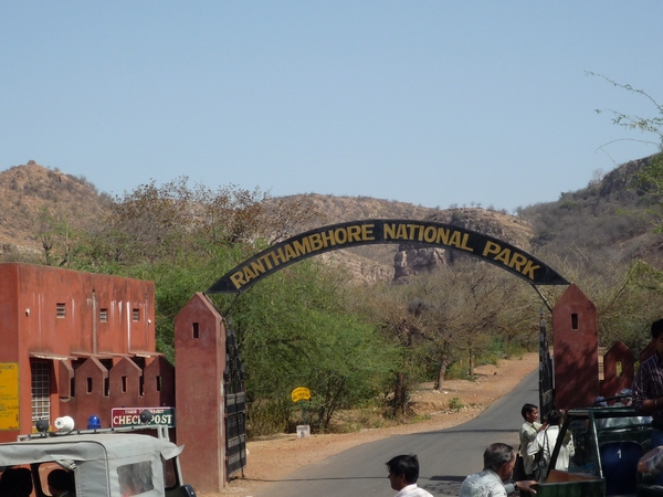 7b Ranthambore _NP _P1020960