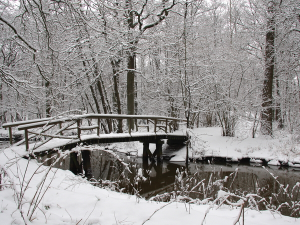 winter sneeuw leudal