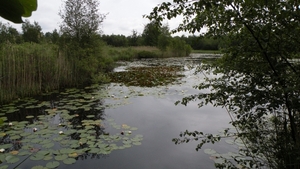 Waaijenberg (NL)