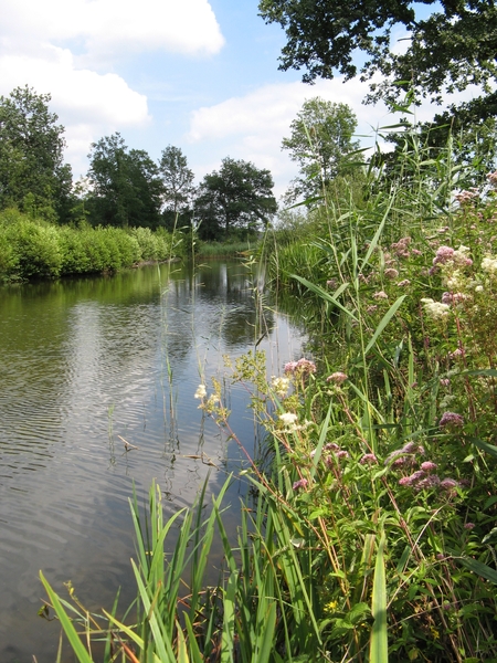 Poel in Kindernouw (Lille)