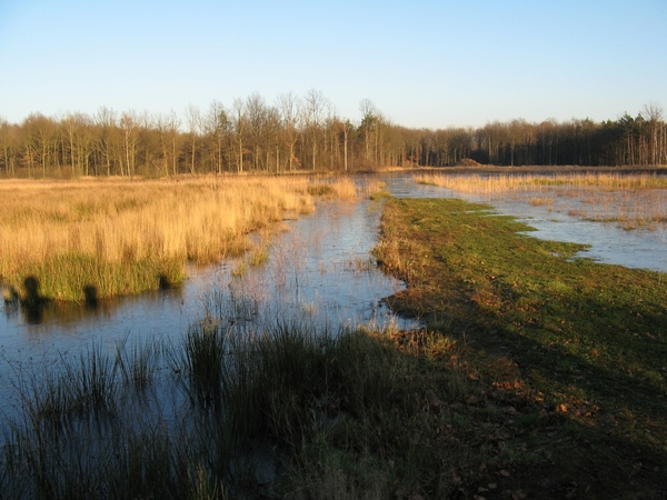 De Langdonken (Ramsel)