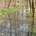 Broekbos in Bonheide