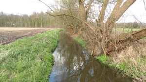 Bruinbeek in Bonheide