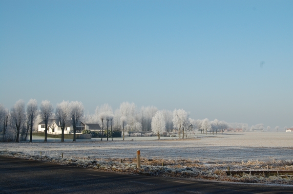 Vlamertinge in het wit 2
