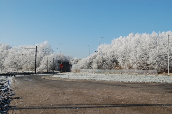 Vlamertinge in het wit 3