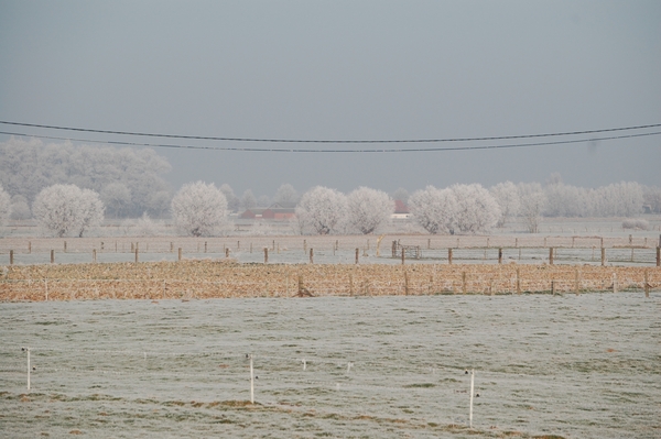 Vlamertinge in het wit 11