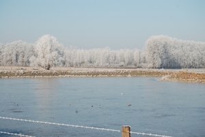 Vlamertinge in het wit 14