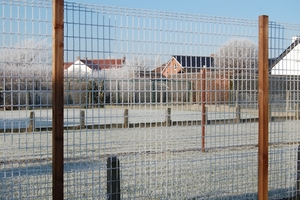 Vlamertinge in het wit 18