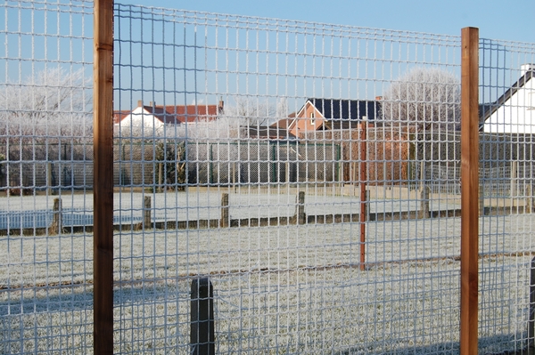 Vlamertinge in het wit 18