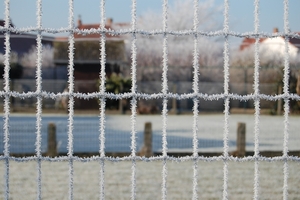 Vlamertinge in het wit 19