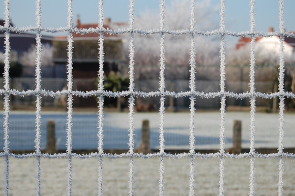 Vlamertinge in het wit 19