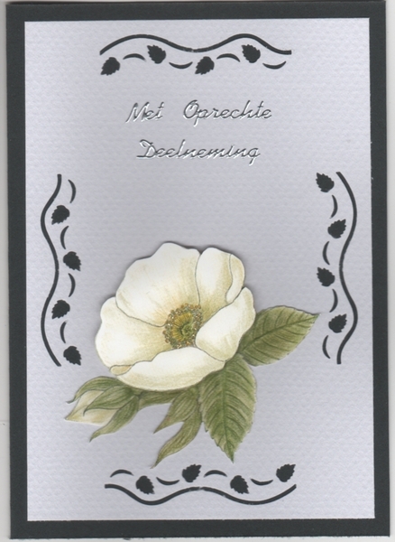 Sterkte - Deelneming