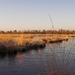 FVN_PICT3314-01kopie_edit_090215(1)
