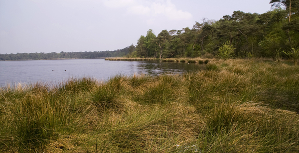 Heide Kalmthout  Stappersven