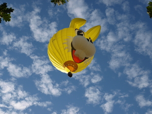 Ballonmeeting olen 063