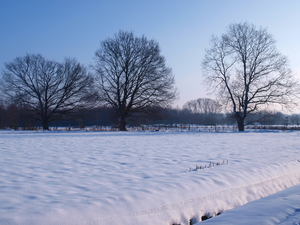 Sneeuwlandschap -Langendijk