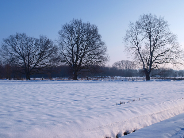 Sneeuwlandschap -Langendijk