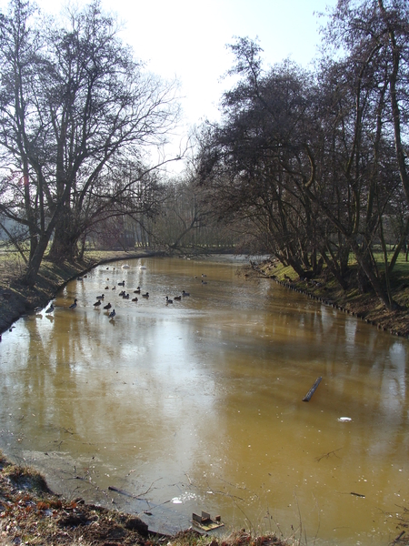 Gracht Hof van riemen