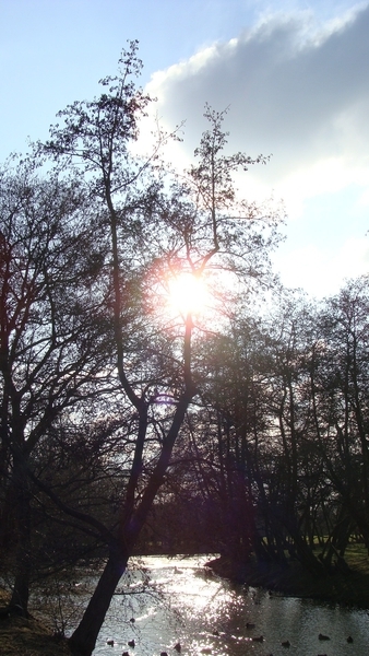landschappen