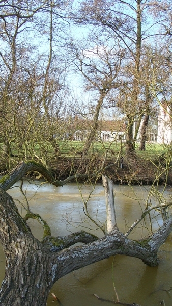 Vijver hof van riemen