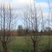 landschappen