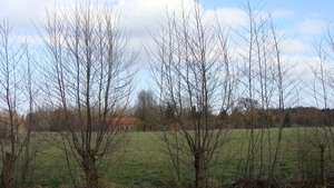 landschappen