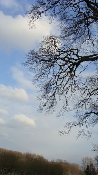 landschappen