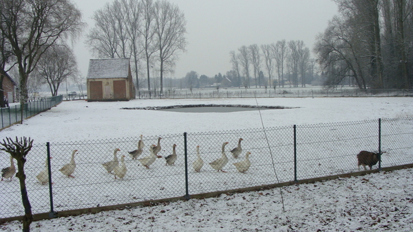 landschappen