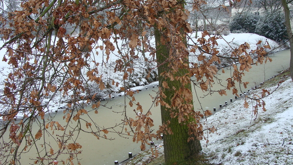 landschappen