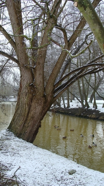 landschappen