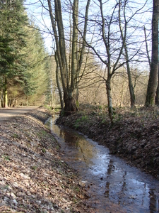 Wandelbos