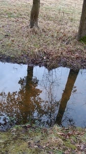 Weerspiegeling
