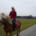 DOET HET TE PAARD