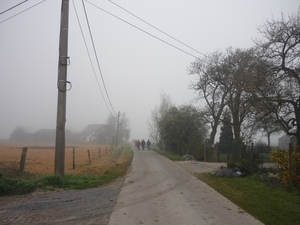 schimmen in de mist