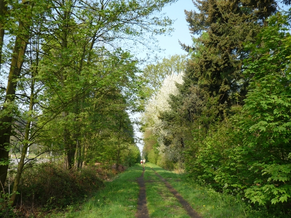 OUDE SPOORLIJN NAAR BRUGGE