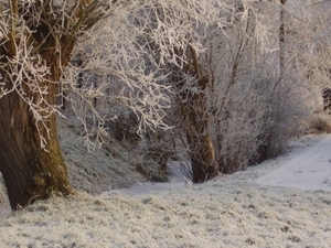 Lange munte